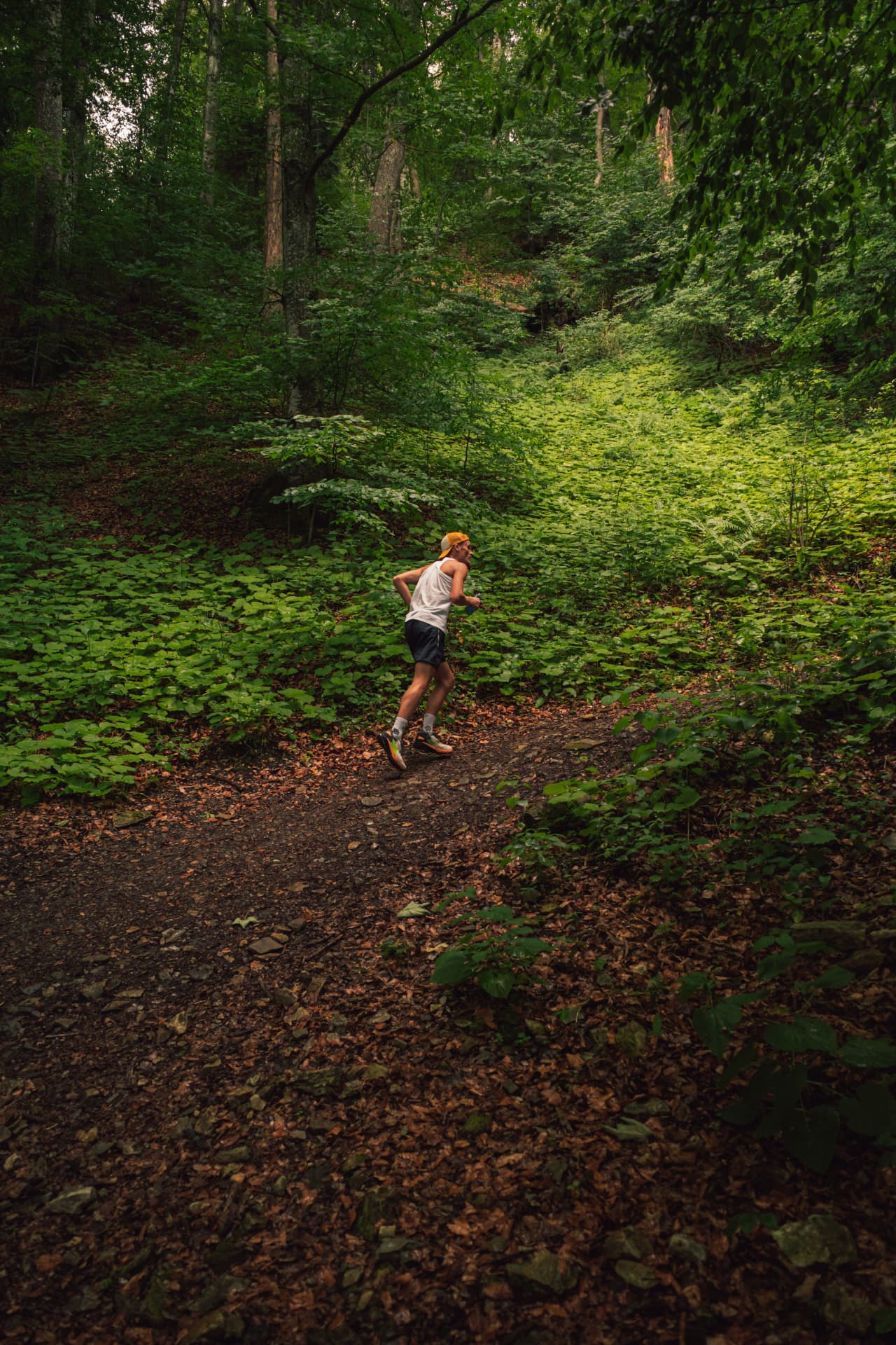 Coureur sur un sentier de la forêt de Marly-le-Roi